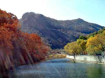 揭秘管家一肖一碼，精準(zhǔn)預(yù)測(cè)的秘密與免費(fèi)體驗(yàn)的真?zhèn)危颐毓芗乙恍ひ淮a，精準(zhǔn)預(yù)測(cè)真相與免費(fèi)體驗(yàn)探究