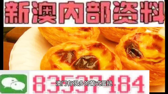 探索未來，2025新澳最新版精準特色解析，探索未來，揭秘新澳最新版精準特色解析（2025版）