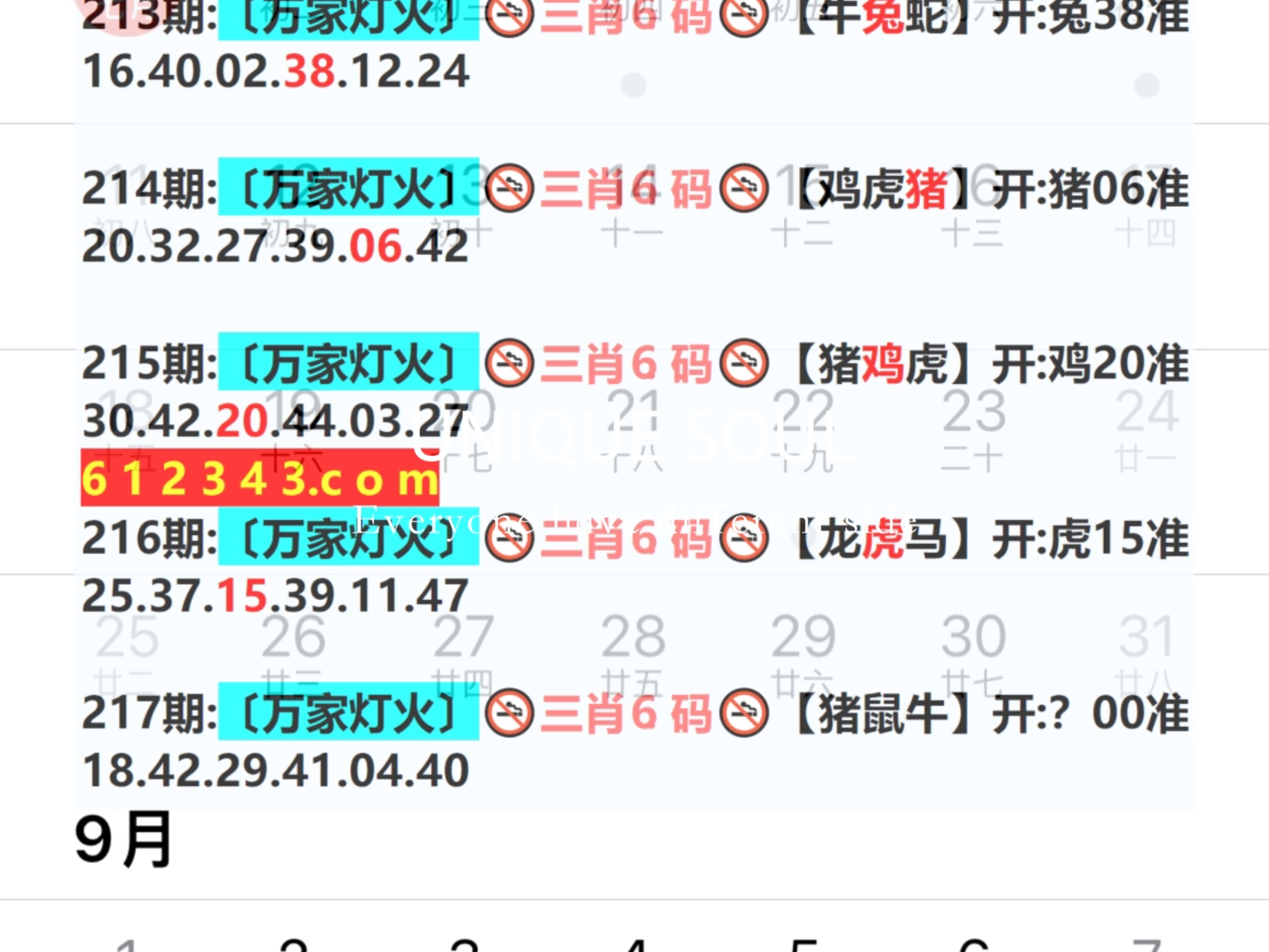 最新澳門彩票開獎結(jié)果解析，77777與88888的奧秘，澳門彩票開獎結(jié)果解析，揭秘77777與88888的奧秘