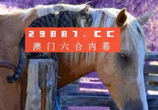澳門一肖一碼一待一中四不像，探索與解析，澳門一肖一碼一待一中四不像，深度解析與探索