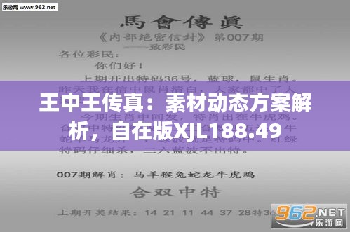 王中王493333特馬王中王——探尋神秘數(shù)字背后的故事，探尋神秘數(shù)字背后的故事，王中王493333特馬王探秘之路