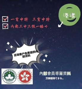 新澳王中王一肖一特一中，探索與解析，新澳王中王一肖一特一中，深度探索與解析