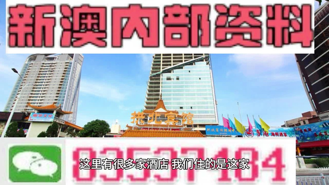芳草地澳門精準(zhǔn)資料大全——探索澳門的魅力與精華，澳門魅力與精華探索，芳草地澳門精準(zhǔn)資料大全