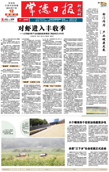 揭秘彩票背后的秘密，精準(zhǔn)四肖選擇策略與技巧，揭秘彩票背后的秘密，精準(zhǔn)四肖選擇策略與技巧揭秘