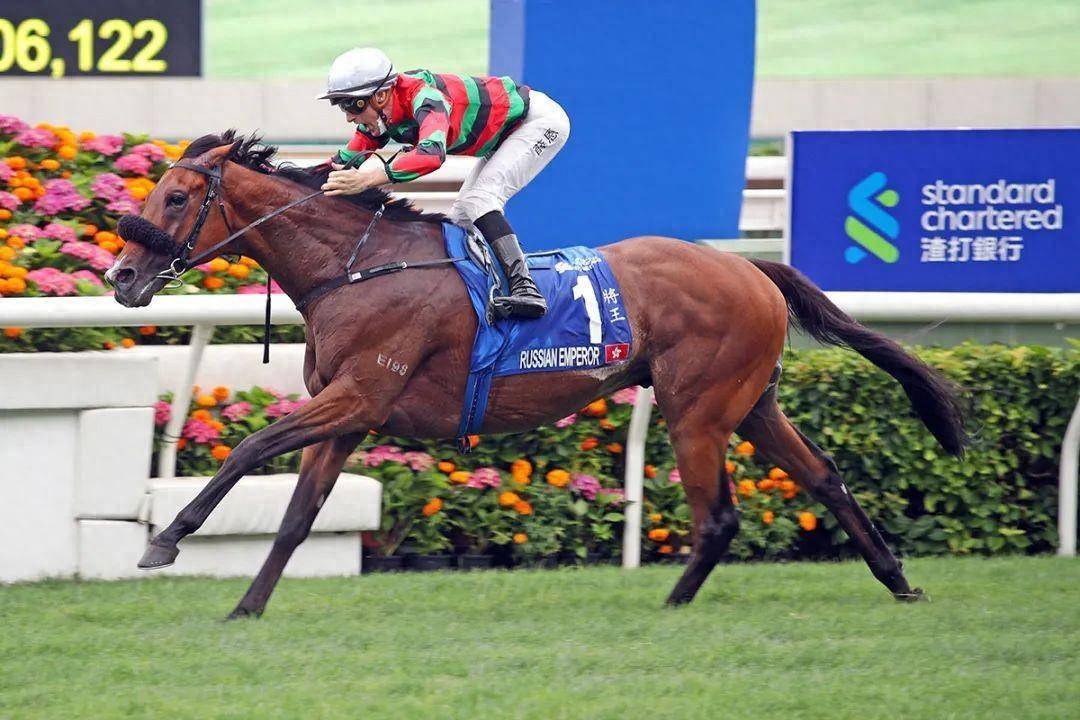 香港賽馬會，探索賽馬運動的魅力與傳奇的7777788888賽道故事，香港賽馬會，探索賽馬運動的魅力與傳奇賽道故事——7777788888賽道之旅
