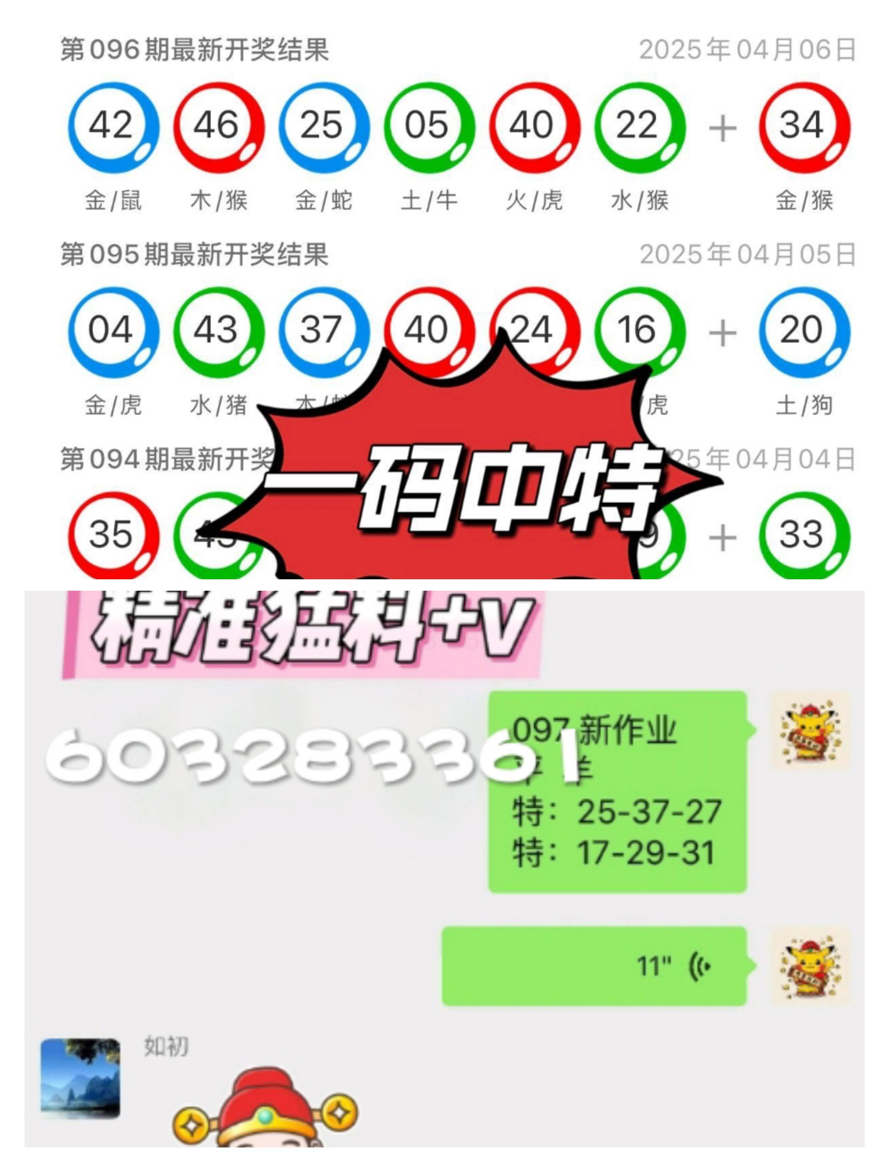 白小姐精選四肖八碼最新版本，揭秘與解析，白小姐精選四肖八碼最新揭秘與解析概覽