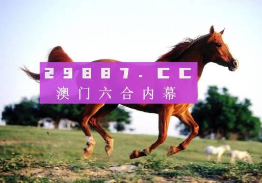 澳門(mén)一肖一碼一待一中資料，深度解析與探索，澳門(mén)一肖一碼深度解析與探索揭秘資料