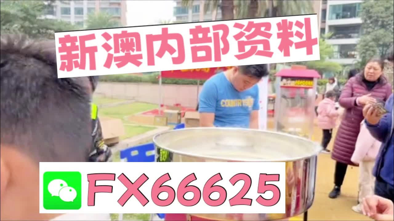 新奧2025正版資料大全，全面解析與深度探索，新奧2025正版資料大全，全面解析與深度探索揭秘