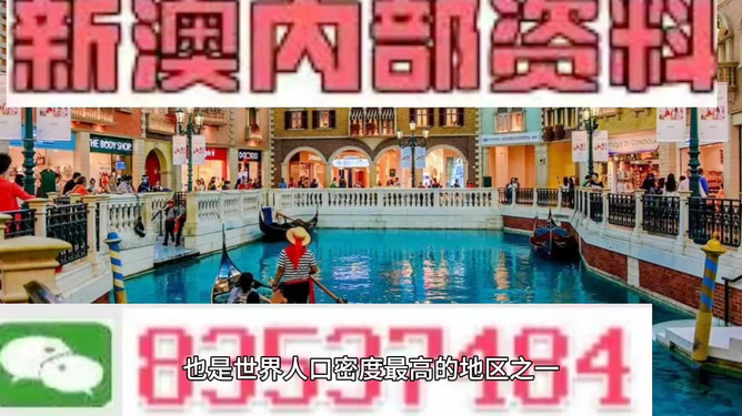澳門王中王正版游戲，探索未來(lái)的新篇章（2025年展望），澳門王中王正版游戲，探索未來(lái)新篇章，展望2025年發(fā)展