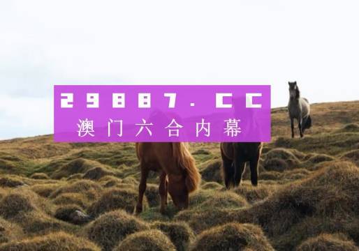 澳門今晚開獎什么，揭秘彩票背后的秘密與策略分析，澳門彩票開獎揭秘，策略分析與秘密探索