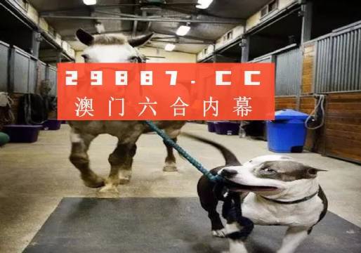 澳門一肖一碼一必中一肖，同舟前進(jìn)的奧秘與策略，澳門一肖一碼必中策略與前進(jìn)奧秘，同舟共濟(jì)的揭秘與策略
