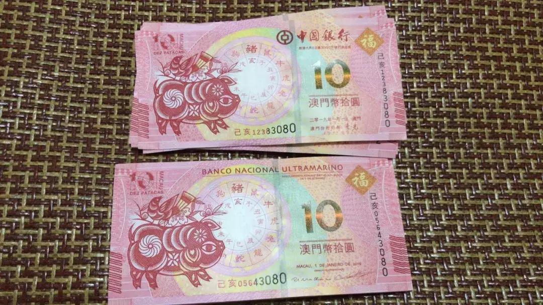 新澳門生肖走勢圖，深度解析與預(yù)測，澳門生肖走勢圖深度解析及預(yù)測報(bào)告