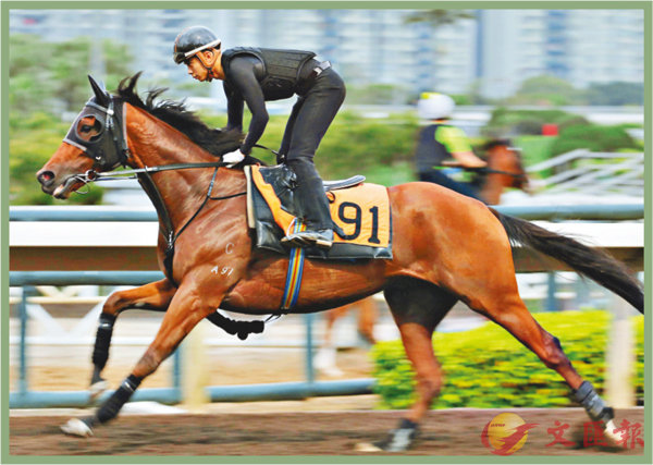 香港賽馬，探索數(shù)字背后的激情與榮耀，香港賽馬，數(shù)字背后的激情與榮耀之旅