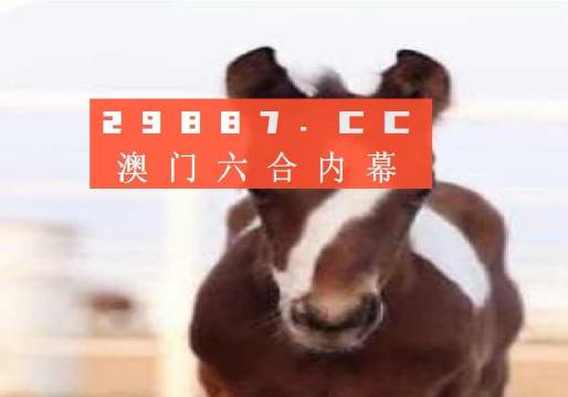 澳門一肖一碼一待一中資料，深度解析與探索，澳門一肖一碼深度解析與探索揭秘資料