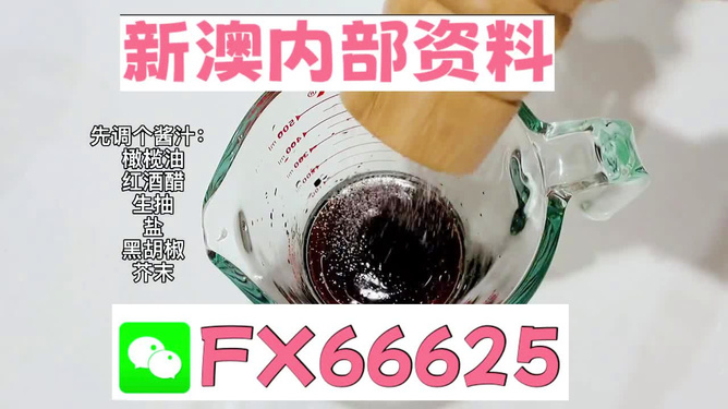 2025年新澳正版免費料，全面解析與獨家資訊，獨家解析，揭秘新澳正版免費料獨家資訊至2025年