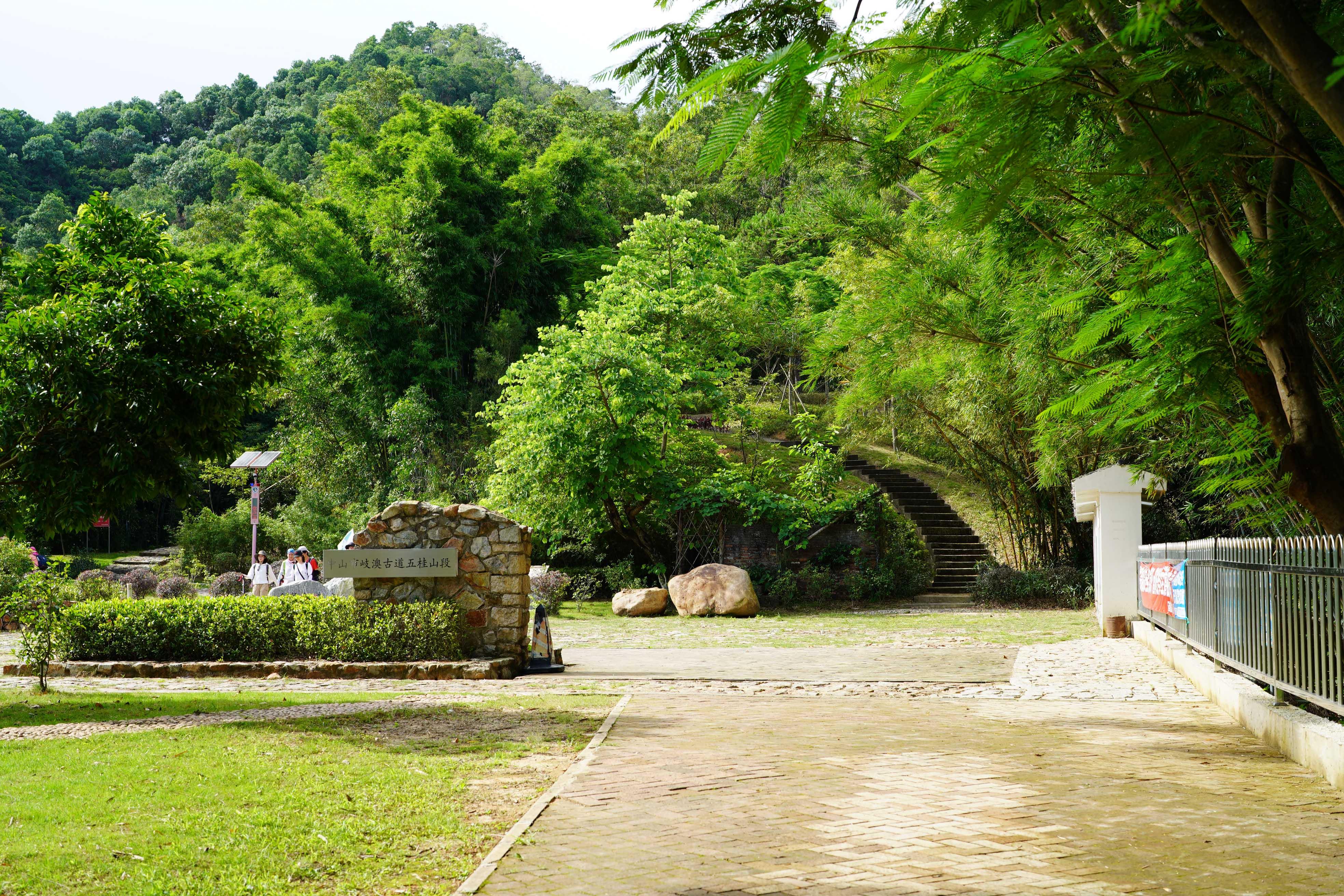 新澳門彩生肖走勢(shì)圖，探索與解讀彩票背后的秘密，探索解讀新澳門彩生肖走勢(shì)圖，彩票背后的秘密揭秘