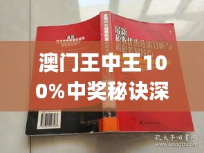 新澳門王中王期期中，探索與解析，新澳門王中王期期中，深度探索與解析