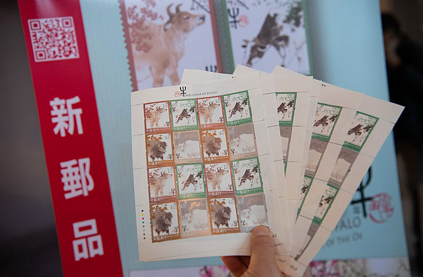 澳門(mén)值日生肖600圖庫(kù)與八百圖庫(kù)開(kāi)獎(jiǎng)，探索生肖圖庫(kù)的魅力與奧秘，澳門(mén)生肖圖庫(kù)開(kāi)獎(jiǎng)揭秘，探索值日生肖600圖庫(kù)與八百圖庫(kù)的魅力與奧秘