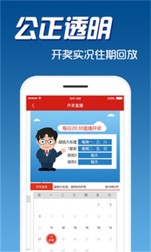 揭秘4238精準(zhǔn)預(yù)測(cè)與生肖彩票的奧秘——探尋彩票玩家的成功秘訣，揭秘彩票玩家的成功秘訣，4238精準(zhǔn)預(yù)測(cè)與生肖彩票奧秘探尋之路。