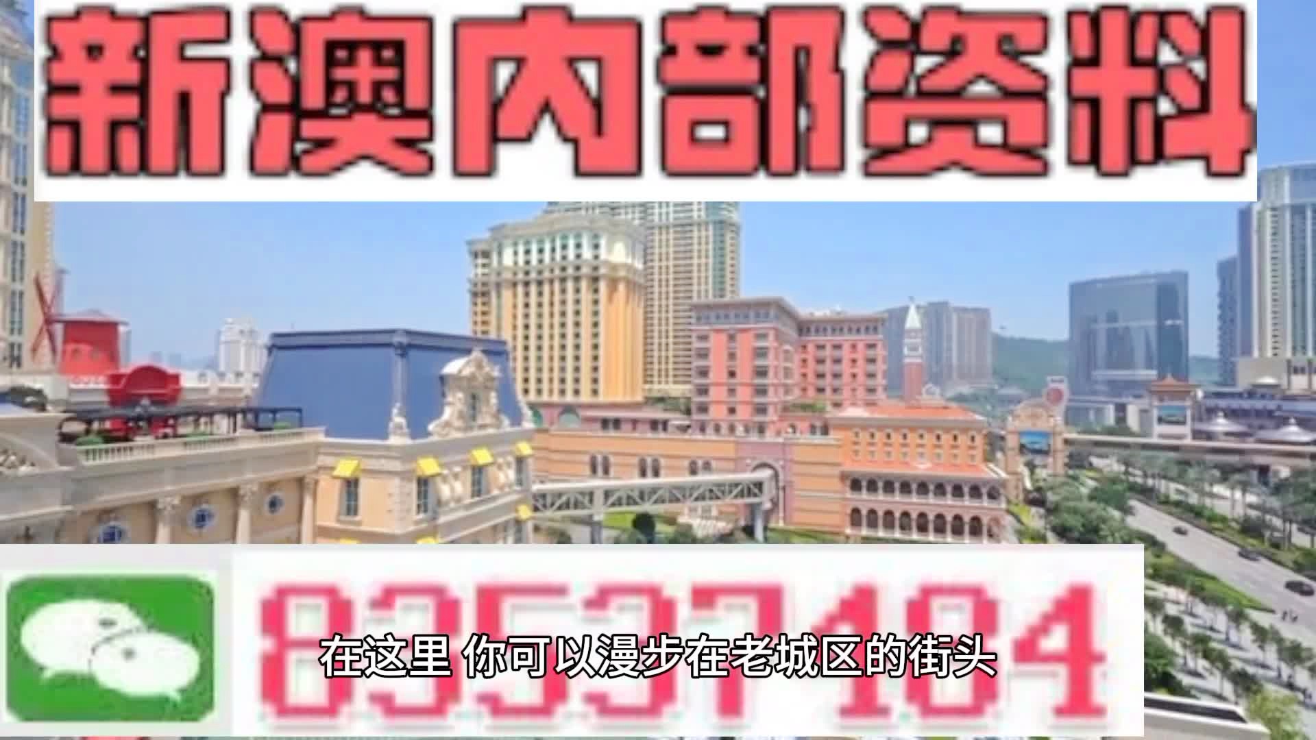 新澳門期期準精準，探索澳門的未來與SEO策略，澳門未來展望與SEO策略探索，精準瞄準新機遇