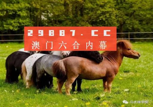 王中王四不像正版一肖中特圖，揭秘背后的秘密與獨特魅力，揭秘王中王四不像正版一肖中特圖的獨特魅力和背后秘密