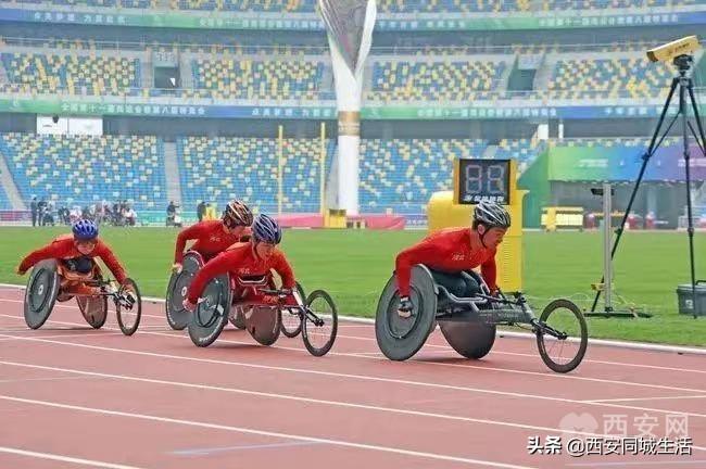 2025年澳門精準免費大全——全面解析澳門未來展望與特色體驗，澳門未來展望與特色體驗解析，澳門精準免費大全（2025版）