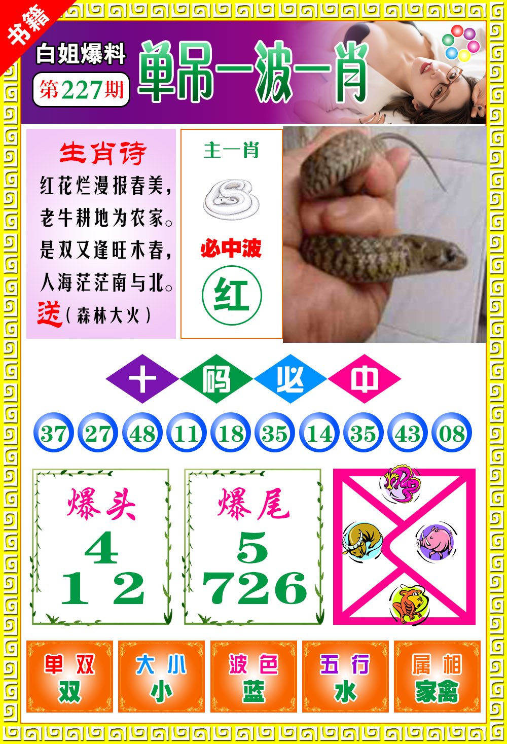 王中王100期期一肖，深度解析與SEO優(yōu)化策略，王中王100期期一肖深度解析與SEO策略全解析