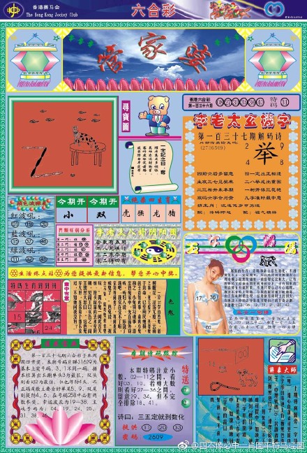 王中王四不像必出一肖圖——揭秘彩票背后的秘密，揭秘彩票背后的秘密，王中王四不像必出一肖圖的真相探索