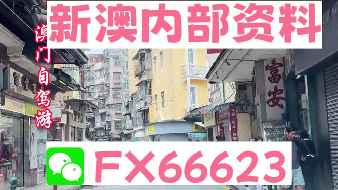 新澳精準(zhǔn)資料免費(fèi)提供，探索與解析，新澳精準(zhǔn)資料解析與探索，免費(fèi)提供的深度解讀