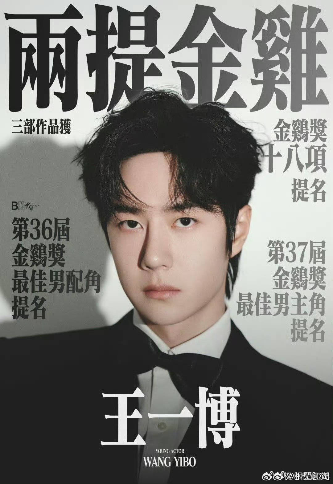 王中王一肖中特論特，深度解析與SEO洞察，深度解析王中王一肖中特論特與SEO洞察
