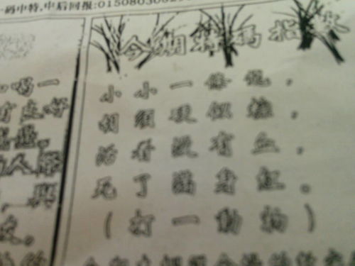 神秘預(yù)測真相探索