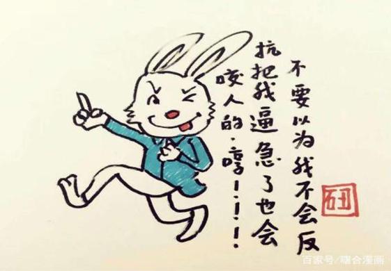 一肖不中賠多少倍，深度解析與策略建議，一肖不中賠倍深度解析及策略建議