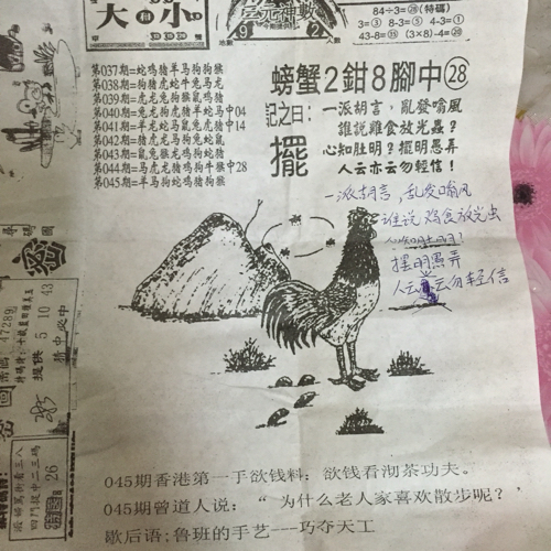 揭秘林中的高手王中王猜一肖的奧秘，揭秘林中之王王中王與生肖奧秘探秘