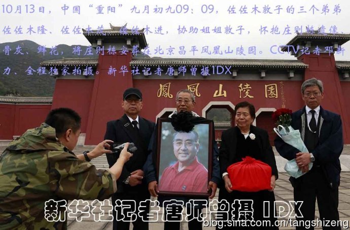 王中王必選一肖，揭秘背后的秘密與策略，揭秘王中王必選一肖背后的秘密策略
