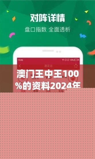 王中王網(wǎng)站一肖，探索與SEO優(yōu)化策略，王中王網(wǎng)站一肖，深度探索與SEO優(yōu)化策略實(shí)踐