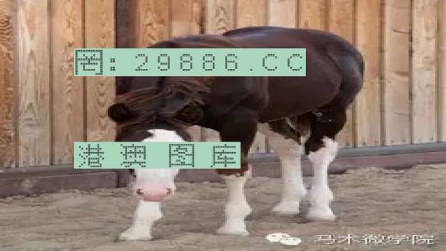 澳門 第260頁(yè)