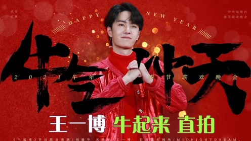 關(guān)于中王王中王一肖中特的SEO文章，中王王中王一肖中特的SEO優(yōu)化策略解析