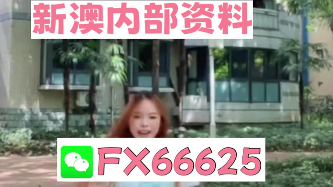 香港內(nèi)部精準(zhǔn)資料一碼，揭秘與深度解析，香港內(nèi)部精準(zhǔn)資料一碼揭秘與深度剖析