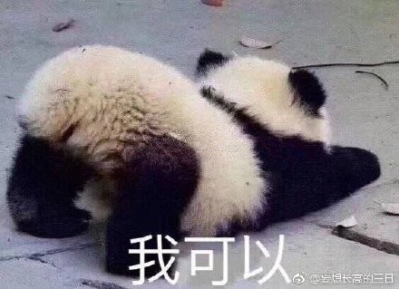 澳門精準(zhǔn)四不像最新正版，揭秘與探索，澳門精準(zhǔn)四不像揭秘與探索最新正版資訊