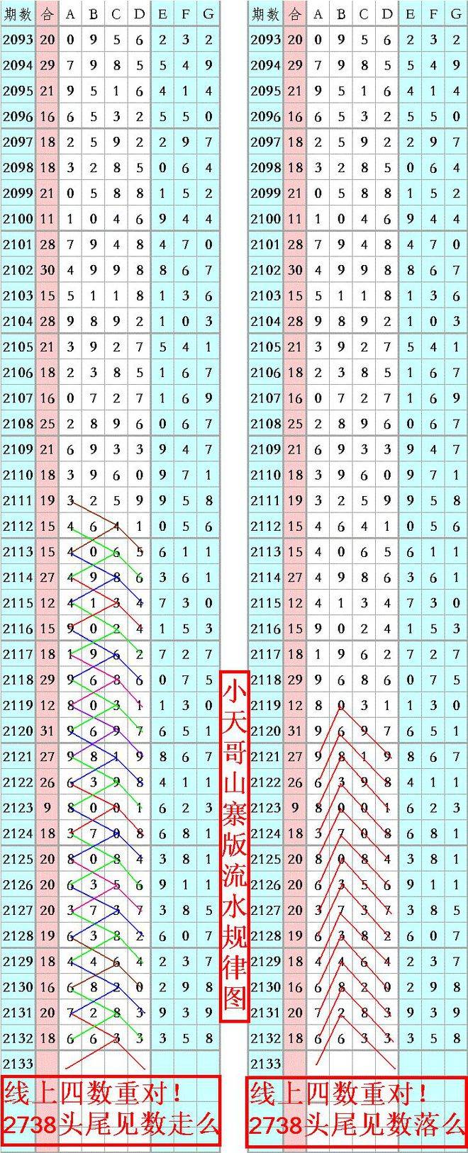 王中王精準六肖6碼資料，探索精準預測的魅力，王中王精準六肖6碼資料，揭秘精準預測的魅力