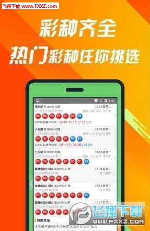 真相與奧秘揭秘