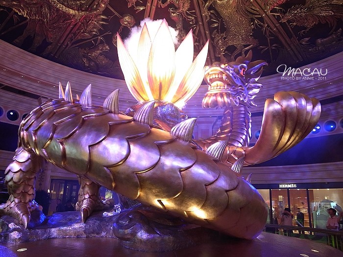 澳門無錯(cuò)七尾，探索與解析，澳門無錯(cuò)七尾，深度探索與解析