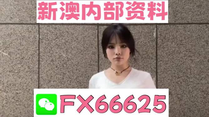 澳門正版資料大全完整版，探索與揭秘2025年澳門正版資料的世界，澳門正版資料大全揭秘，探索未來(lái)至2025年的奧秘世界
