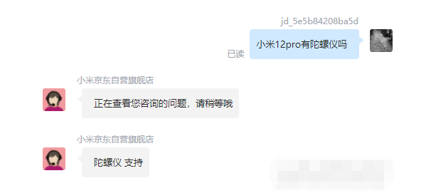 王中王一肖碼，探索關(guān)鍵詞背后的奧秘，王中王一肖碼，揭秘關(guān)鍵詞背后的奧秘