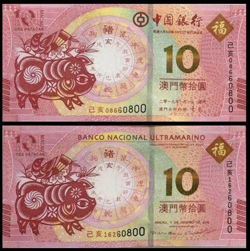澳門天天彩期期精準十二生肖預測——揭秘彩票背后的秘密，澳門天天彩期期精準十二生肖預測，彩票背后的秘密大揭秘