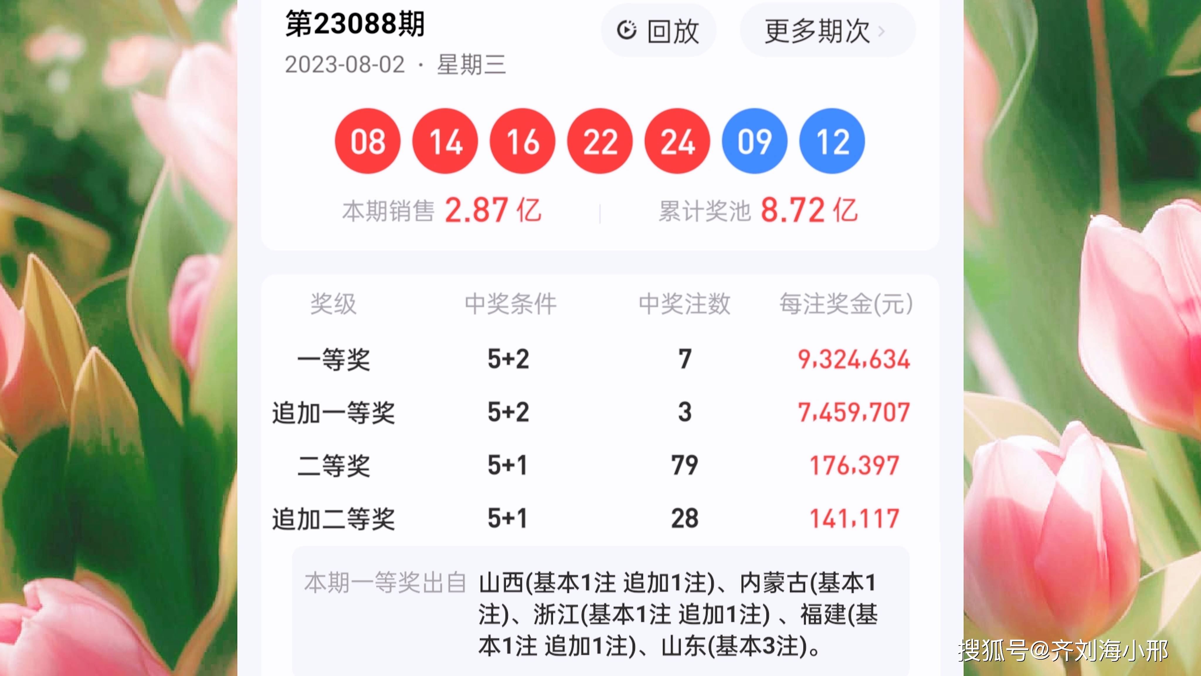 最新開獎結(jié)果揭曉，王中王與一肖中的幸運時刻，王中王與一肖中幸運時刻揭曉，最新開獎結(jié)果出爐