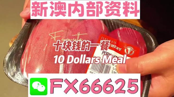 揭秘2025新奧精準(zhǔn)正版資料，全方位解讀與SEO優(yōu)化策略，揭秘2025新奧精準(zhǔn)正版資料，全方位解讀與SEO策略優(yōu)化指南