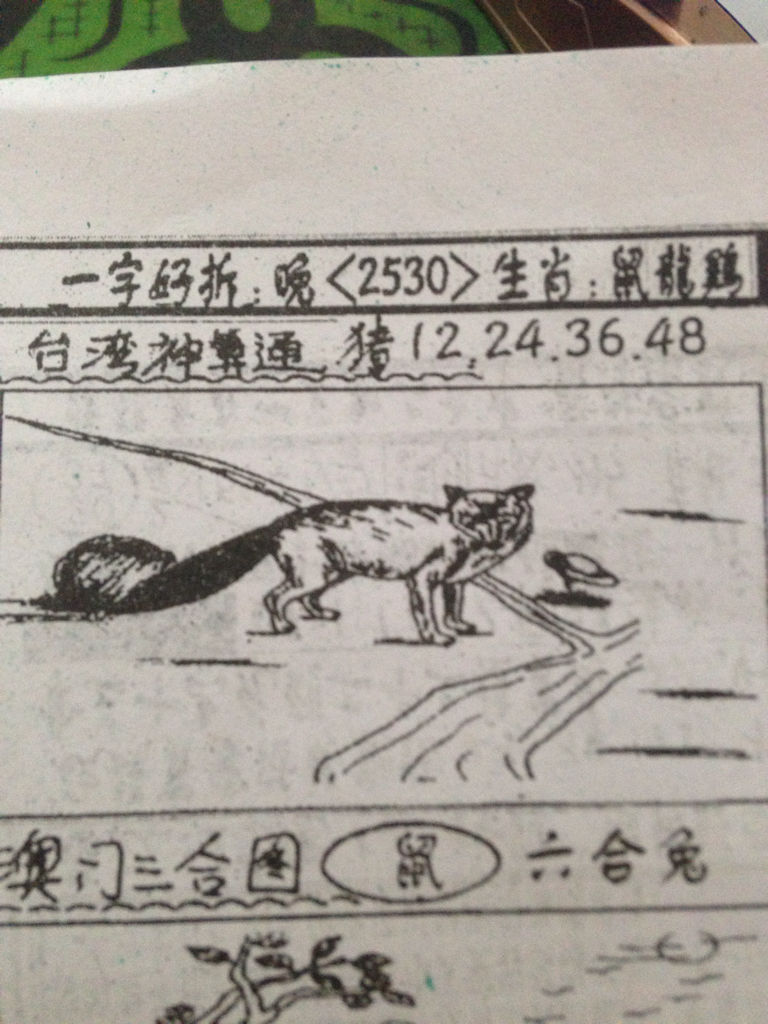 揭秘生肖奧秘，看圖猜一生肖劉伯溫的傳奇故事，揭秘生肖奧秘，劉伯溫傳奇故事中的生肖之謎探索
