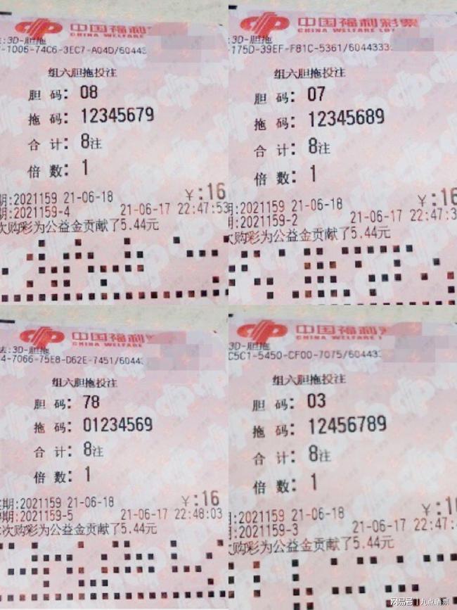 王中王四肖精選一肖新聞，揭秘背后的故事與趨勢，王中王四肖精選揭秘，背后的故事與趨勢聚焦一肖新聞