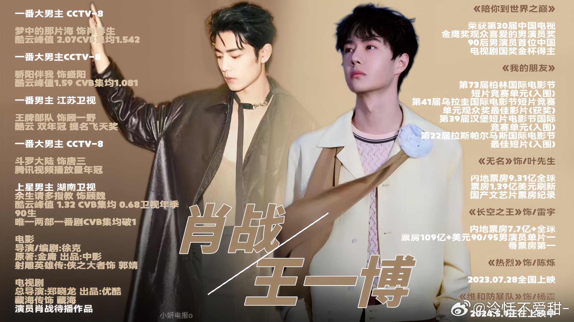 王中王一肖中特全年資料解析與SEO優(yōu)化策略，王中王一肖中特全年資料解析與SEO策略詳解